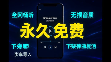 QQ音乐/网易云的最佳平替！免费开源的「青听音乐」App，支持歌单导入和无损音质，彻底实现听歌自由！