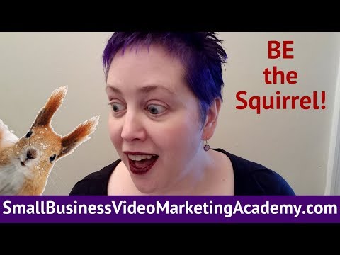 Small Business Video Marketing Academy