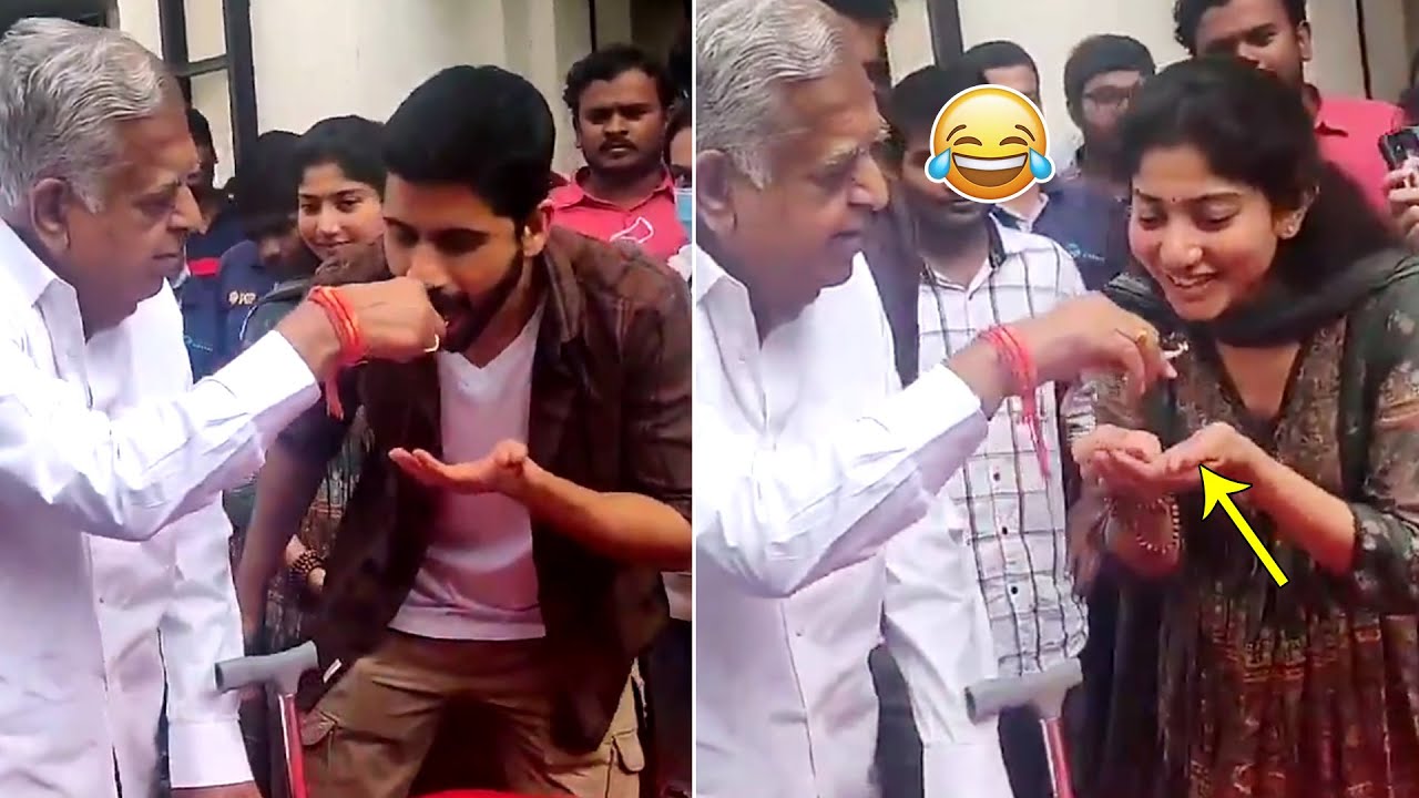 Love Story Movie Success Celebrations | Naga Chaitanya | Sai Pallavi | Sekhar Kammula |Daily Culture