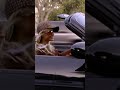 I've always known we can do anything | Paris Hilton