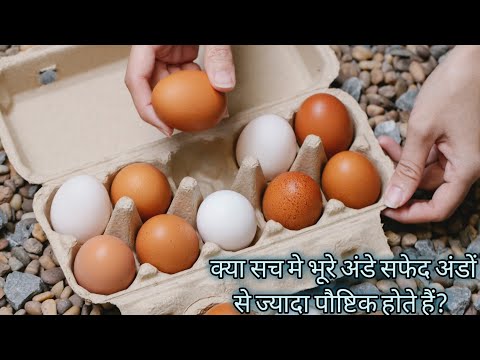 वीडियो: कैसे सफेद चिकन अंडे भूरे रंग के लोगों से भिन्न होते हैं