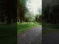#łosiów #zdrowo #polska #park #nature #shorts #shitpost #spacer #spokój #pogoda