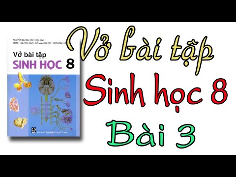 Video Vở bài tập sinh học lớp 8| bài 3 Tế bào - YouTube