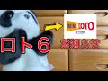 ミニロト!5/17当選したらプレゼント企画の応募動画です!Twitter平日毎日PayPayプレゼント実施中