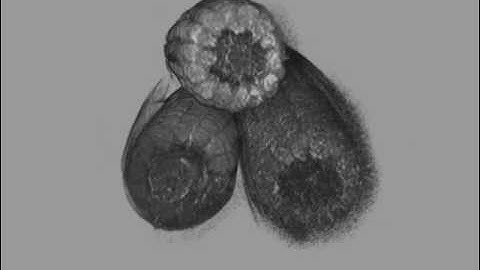 reassembled MRI corn slices