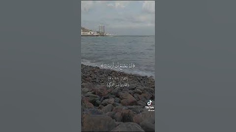 تلاوة هادئة بدر التركي ( ذرني ومن خلقت وحيدا ) 🤍😴.