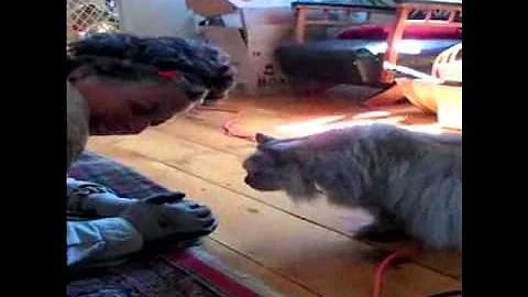 Billie Irvin Campbell IS the Cat Whisperer