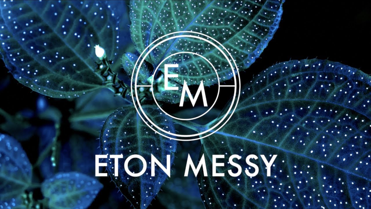 Moods - Keep Up [Boogie Angst]