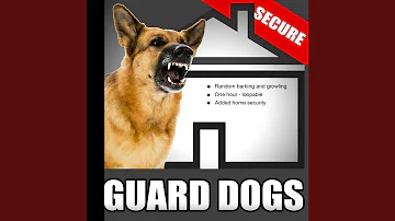 Guard Dogs – Random Barking and Growling Dog Sounds for Added Home Security When the House Is...