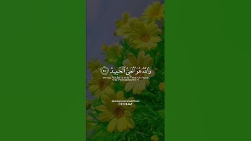 🌤️ آية قصيرة من سورة فاطر | قرآن يريح القلب | طارق محمد