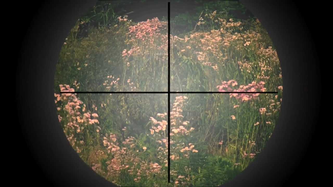 狩りの最中に妖精をみた Youtube