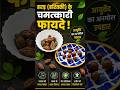 Vaidya Rajesh Kapoor's AMAZING Harad Benefits Revealed! #shorts #easyrecipe