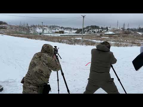 Cурские Зори 2023/II - Холодный выстрел 750м #prs #sniping #снайпинг