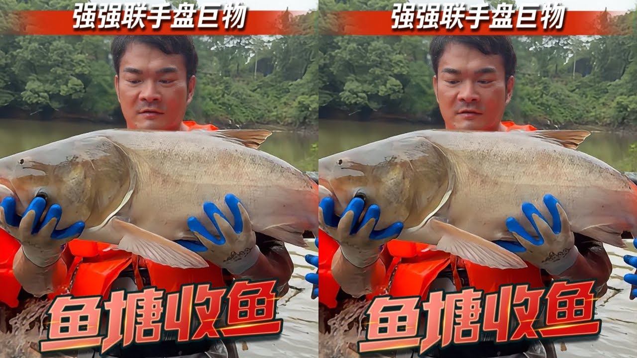 李维刚花30000元包的鱼塘，100斤以上的竟敢卖10元1斤？