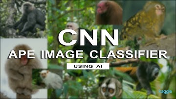 Monkey image classifier - My first AI neural network