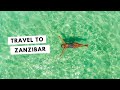 Travel Guide to Zanzibar, Tanzania: A Tropical Paradise