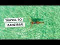 Travel Guide To Zanzibar Tanzania A Tropical Paradise 