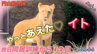 同居訓練中の【イト】に会えました♡感動♡