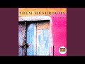 Miniature de la vidéo de la chanson Viva Italia