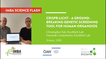 CRISPR-LICHT - A groundbreaking genetic screening tool for human organoids.