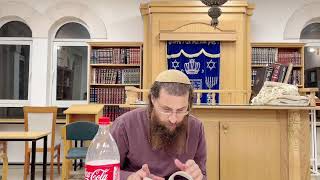 רבנו לייב🔥| ואין עבירה מכבה תורה(רא)