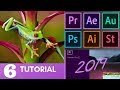 Adobe Premiere Pro  Principiantes - Tutorial 6