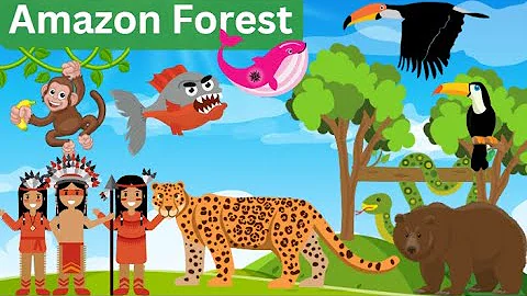 Forest| Rainforest| Jungle| Amazon Forest for Kids, Toddlers| Kindergarten| Animals| Monkeys| Wild