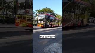 Bus Suroboyo
