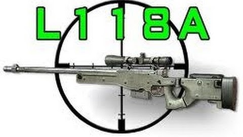 Really Nice NoScope L118A