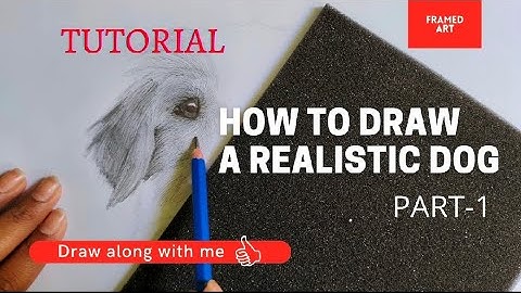 How to Draw a Realistic Dog - Step By Step - Tutorial -Part-1 #howtodraw#realisticdog#stepbystep