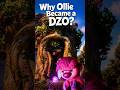 Why Ollie Became a Dzo? #ollie #swapped #firewolf