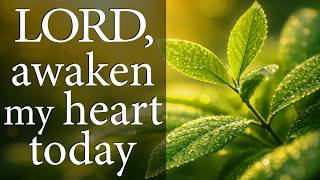 LORD, Awaken My Heart Today — Christian Prayer for Spiritual Renewal and Devotion
In this prayer, we ask the Lord to awaken our hearts with fresh devotion, renew our desire for His Word, and help us keep moving forward with patience, purpose, and new love for Him.
God bless you!
HELPFUL BIBLE VERSES:
Psalm 51:10 (NIV)
Create in me a pure heart, O God,
and renew a steadfast spirit within me.
Lamentations 3:22–23 (NLT)
The faithful love of the Lord never ends!
His mercies never cease.
Great is his faithfulness;
his mercies begin afresh each morning.
Colossians 3:16 (CSB)
Let the word of Christ dwell richly among you, in all wisdom teaching and admonishing one another through psalms, hymns, and spiritual songs, singing to God with gratitude in your hearts.
~~~~~~~
🙏 A Message from the Creator: All prayers and blessings in this video are written by a human. The background landscape image is created using artificial intelligence for ambiance.
~~~~~~~
💛FREE DIGITAL DOWNLOAD DEVOTIONAL💛
In All Things, Give Thanks — 30-Day Devotional Reflection & Prayer Journal
👉 https://drive.google.com/file/d/1ELxmp7CcnD1aRk9MGSJZKLdQPP-mHZts/view?usp=sharing
~~~~~~~
⭐A HOT MESS CHRISTIAN⭐
Check out A Hot Mess Christian for real, honest stories that point back to Jesus.
👉https://www.youtube.com/@mickeydootles
~~~~~~~
If this prayer was helpful to you, please like, subscribe, share and comment. Your continued support is greatly appreciated.
The grace of our Lord Jesus Christ be with you all.
Amen.
Revelation 22:21 (KJV)
#prayer #pray #prayers LORD, Awaken My Heart Today — Christian Prayer for Spiritual Renewal and Devotion