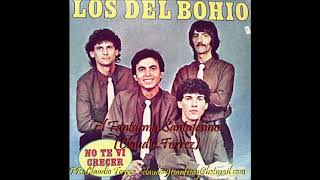 Video thumbnail of "Los del Bohio - Estas alas nuevas"