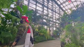 Vlog Explore  Tropical Forest In Osaka  Sakuya Konohana Kan