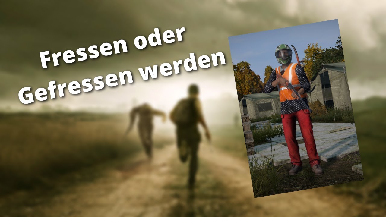 Helvetiq XOK: Fressen oder gefressen werden: Vorsicht vor den Haien! : Escalante, Joel, Escalante, Rafael, Proczko, Ewelina