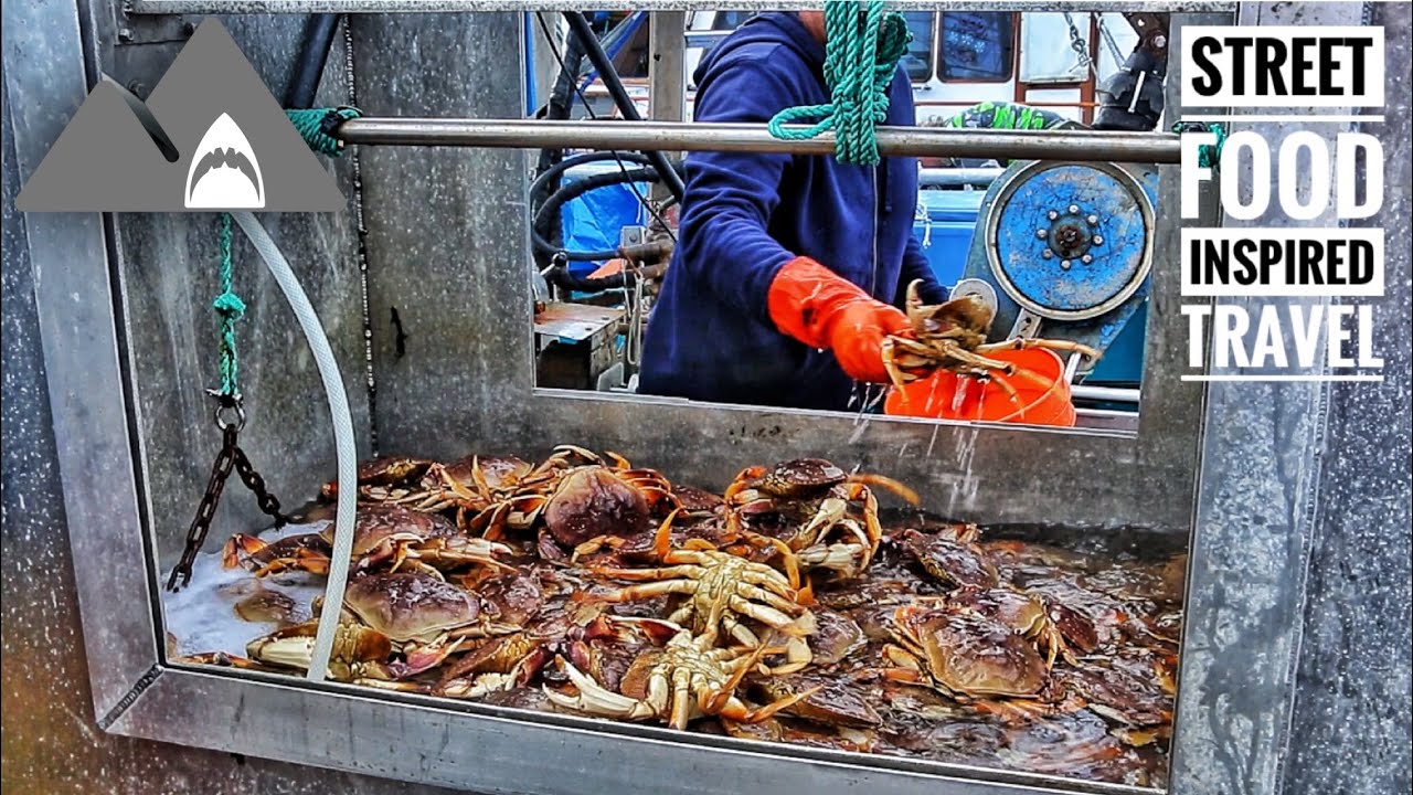 Warning Live Crab Cook & Eat ( Half Moon Bay Boat Tour Series Part 1