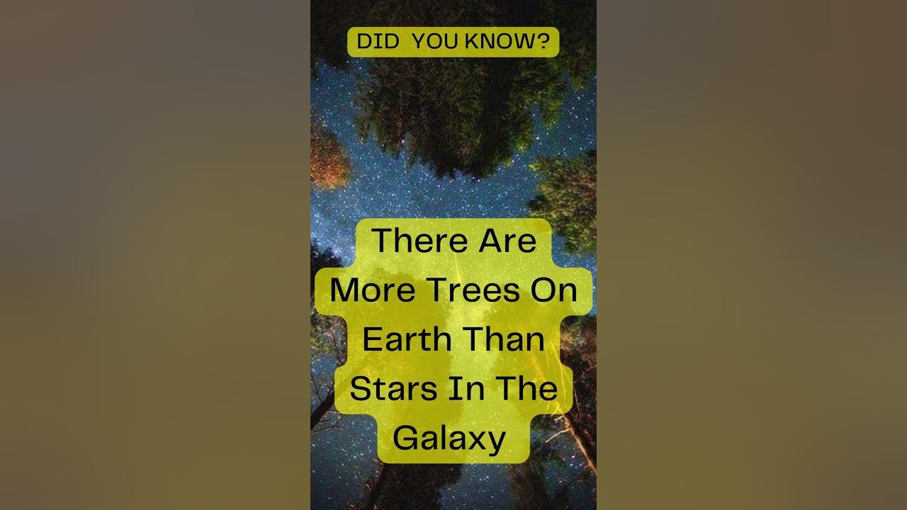 Are There More Trees Or Stars In The Milky Way
