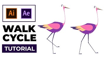 After Effects - Walk cycle Animation Tutorial