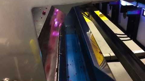 WECO Frozen Raspberry Optical Sorter Demo