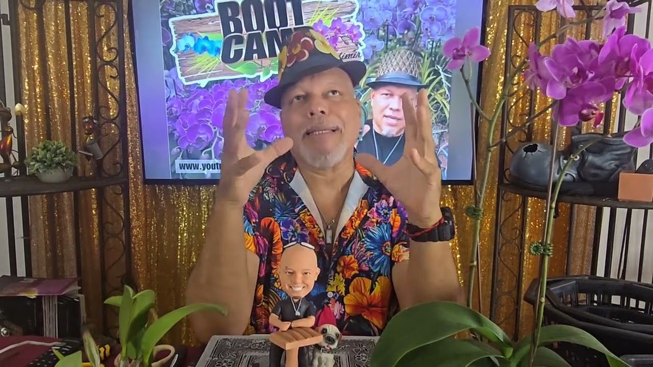 Guía práctica para dividir nuestras Orquídeas