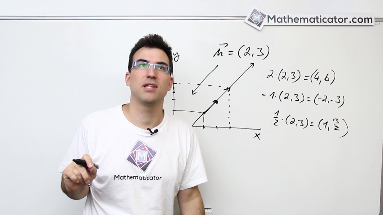 Analytická geometrie 10 - Vektory - násobení vektoru číslem