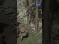 Wild Horse Encounter: Ride With Me or Watch Nature's Majesty? #shorts