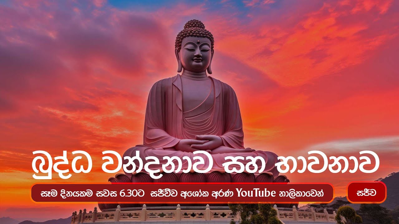 බුද්ධ වන්දනාව 2026 03 02 | #බේරුවල_රාහුල #අශෝක_අරණ #කුටියේ_පිංකම් | Beruwala Rahula Thero අශෝක අරණ