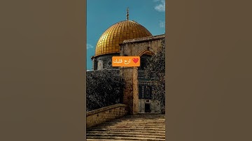 اكتب شيئا تؤجر عليه ✅ || اجمل تلاوة || راحة للقلب ||
