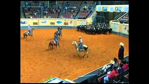 2011 AQHA Team Penning World Champions