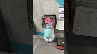 Unicorn VS Squeeze Box