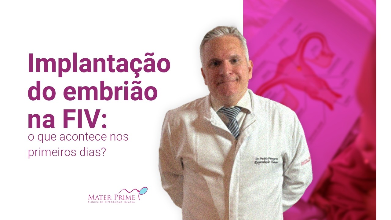 Implantação do embrião na FIV: o que acontece nos primeiros dias?