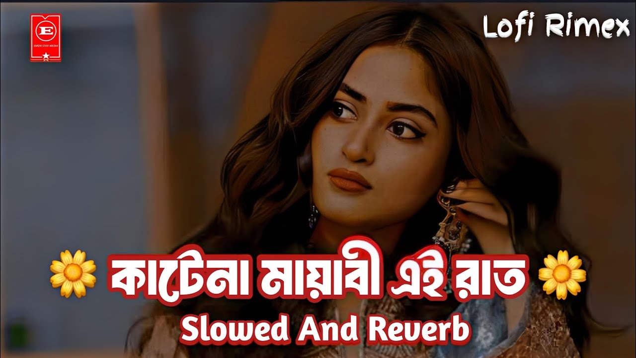 Katena Na Mayabi E Raat | Slowed And Reverb | কাটেনা মায়াবী এই রাত |Habib Wahid |Tiktok Vairal Song