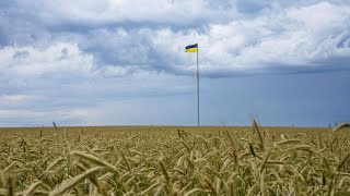 La Pologne et l'Ukraine vont discuter au sujet des céréales ukrainiennes