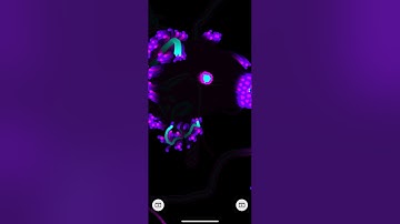 Quantum - Particle Life #simulation #particles